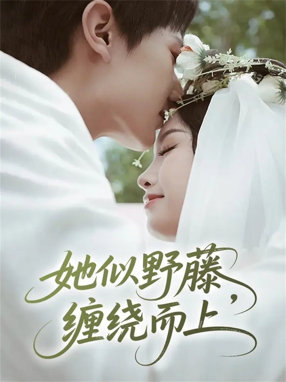 她似野藤，缠绕而上(全集)